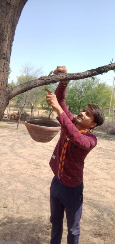 Feeding Birds