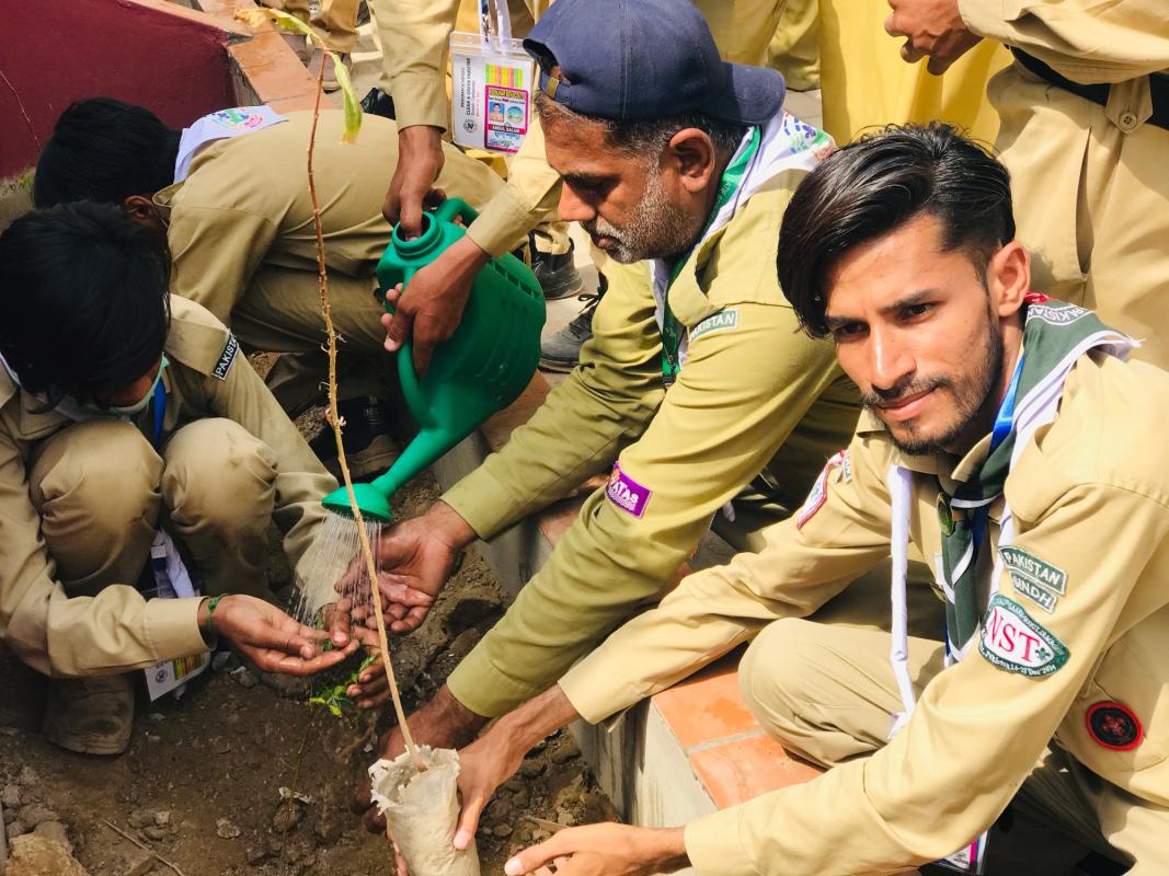 Tree plantation 