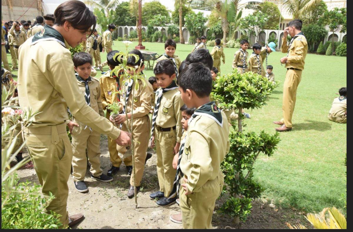 Plantation Activity