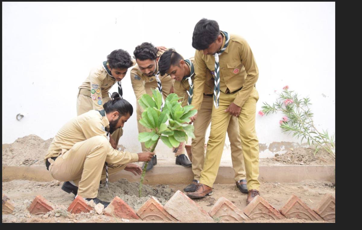 Plant Trees for Sustainable Development