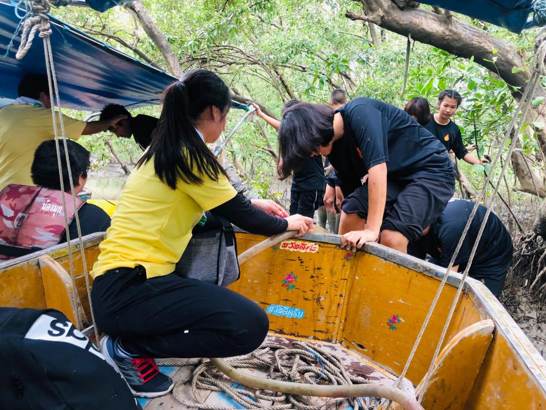 กิจกรรมปลูกป่าชายเลน