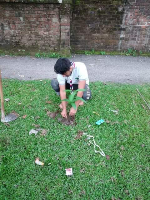 Strategic Tree Plantation at Various and random places of Haluaghat, Mymenshing 