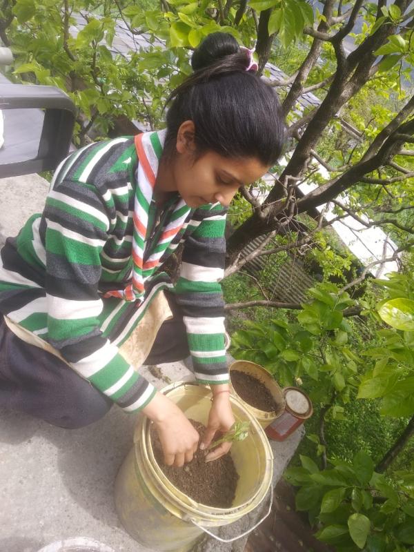 Sankalp Challenge 3