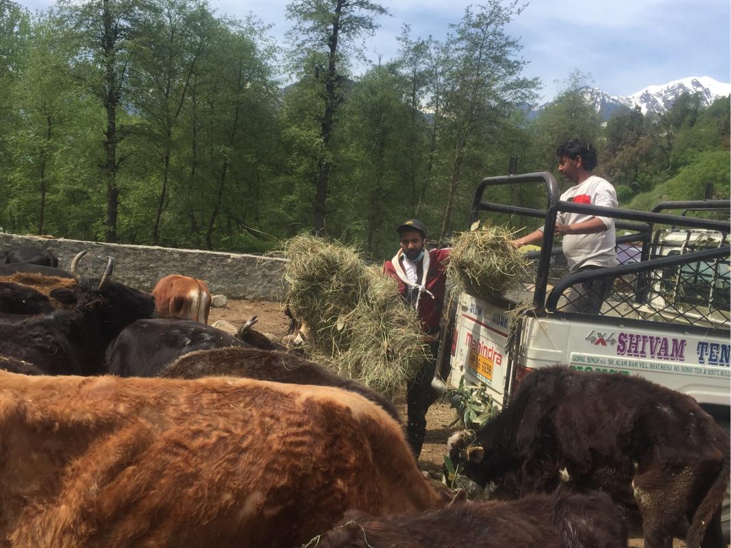 Birthday Celebration At Gousadan 