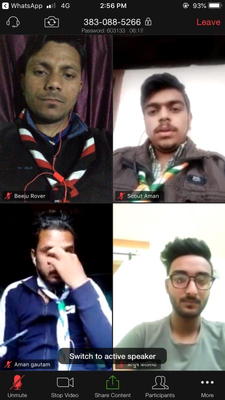 16th Virtual Meeting of BSGHP 