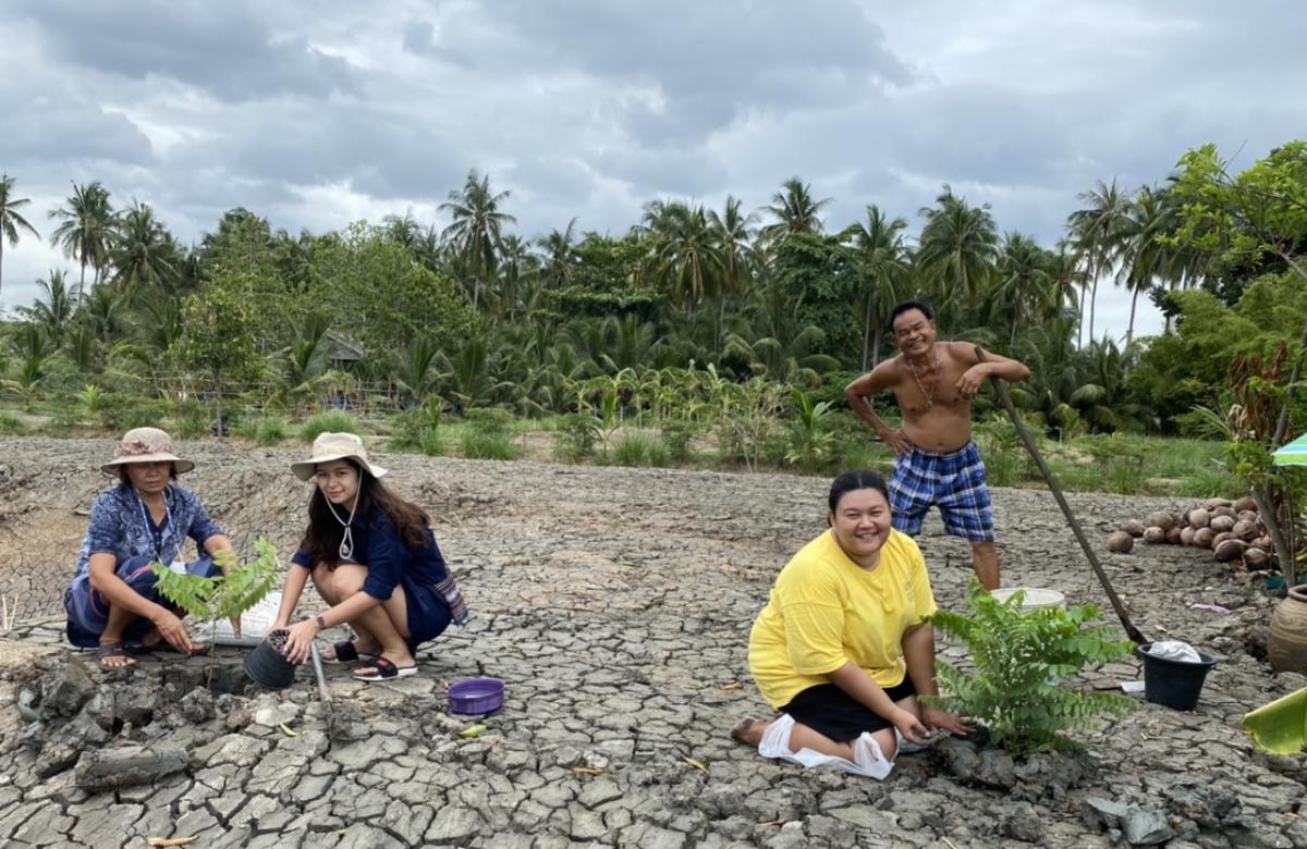 การปลูกต้นไม้ เพิ่มพื้นที่สีเขียว