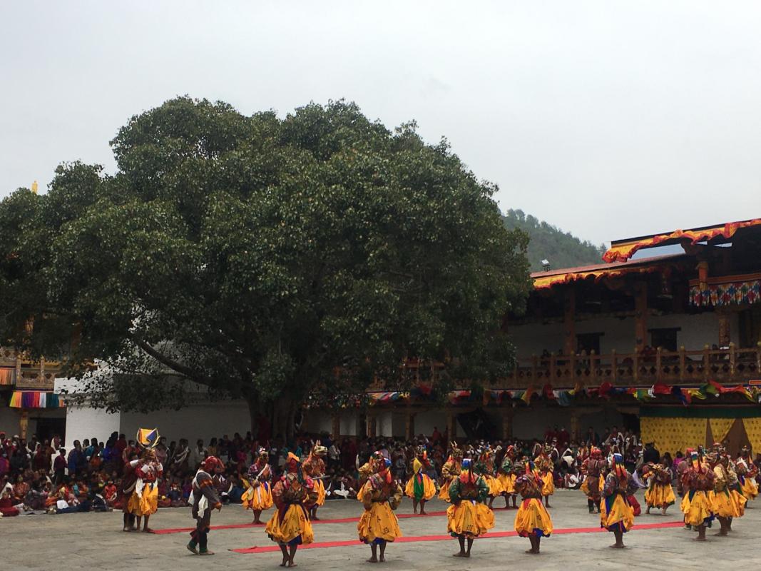 Scout and desup help in proceeding Punakha Dromchoe and Tsechu. 