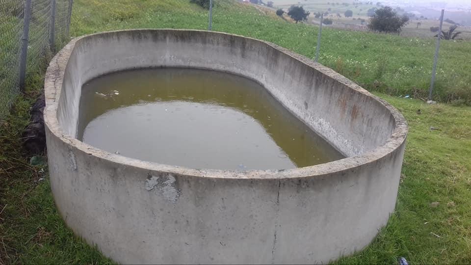 Base scout LOS HORNOS SAN FRANCISCO