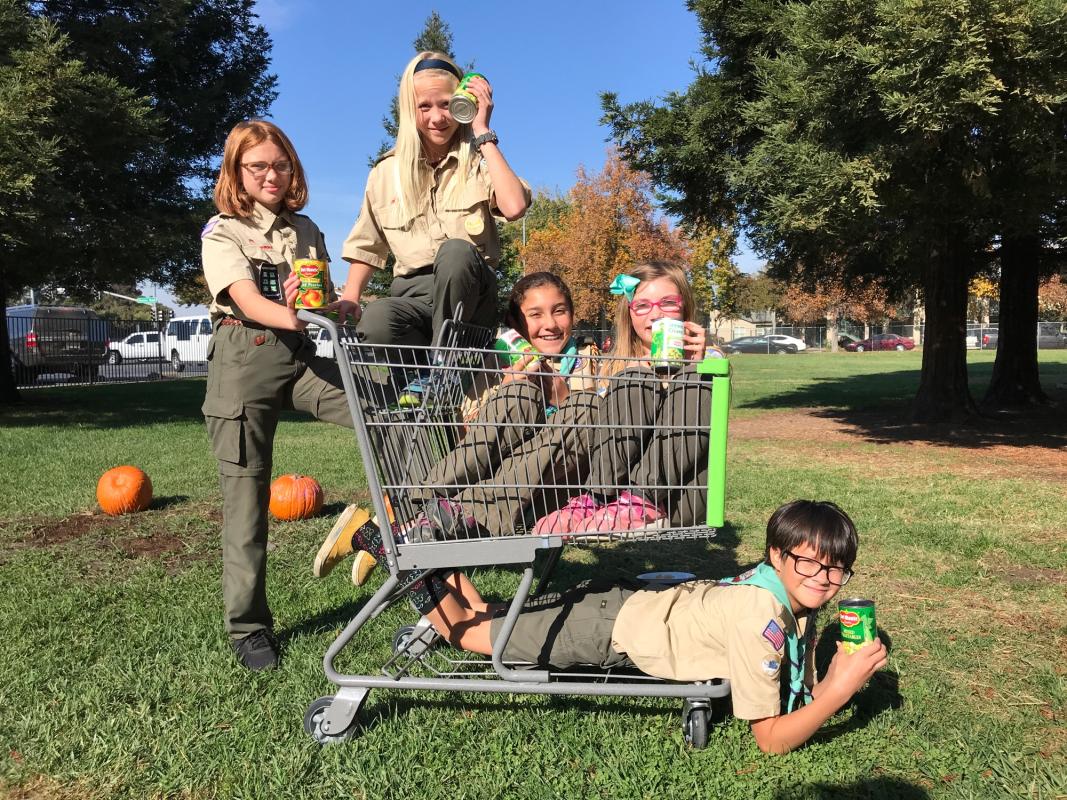 Food Collection for the Local Foodbanks
