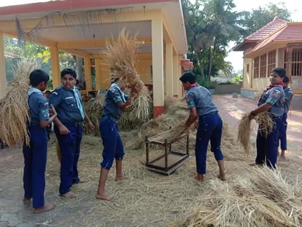 Kadiyali open unit Scouts .. one day with farmer.. 30th November 2018. Bharat scouts and guides Udupi District Association , Karnataka, India. 