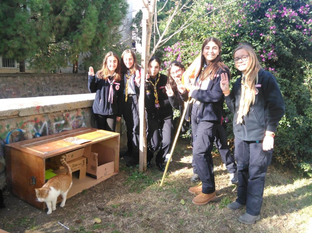 Pars Patrol and Cats