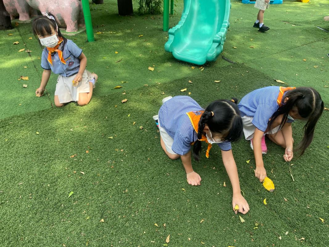 จิตอาสาเก็บขยะ