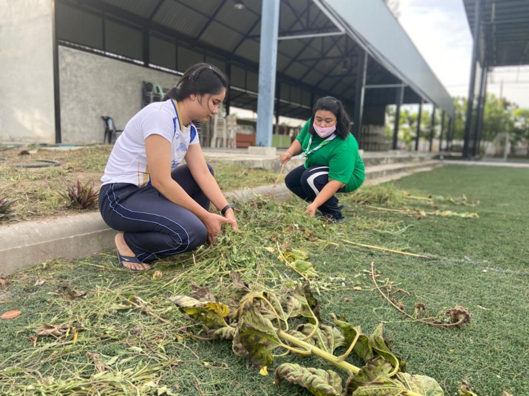 ทำจิตอาสาถางหญ้าจัดเตรียมพื้นที่