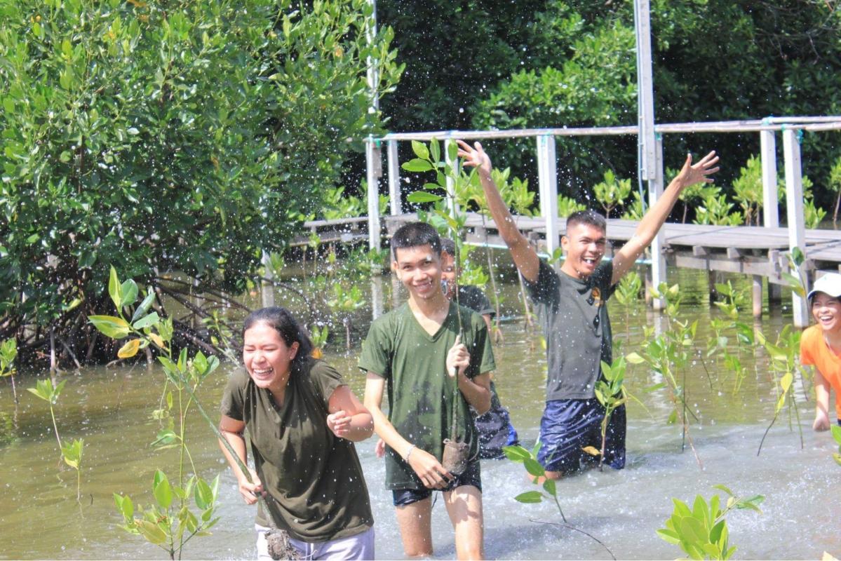 ปลูกป่าชา