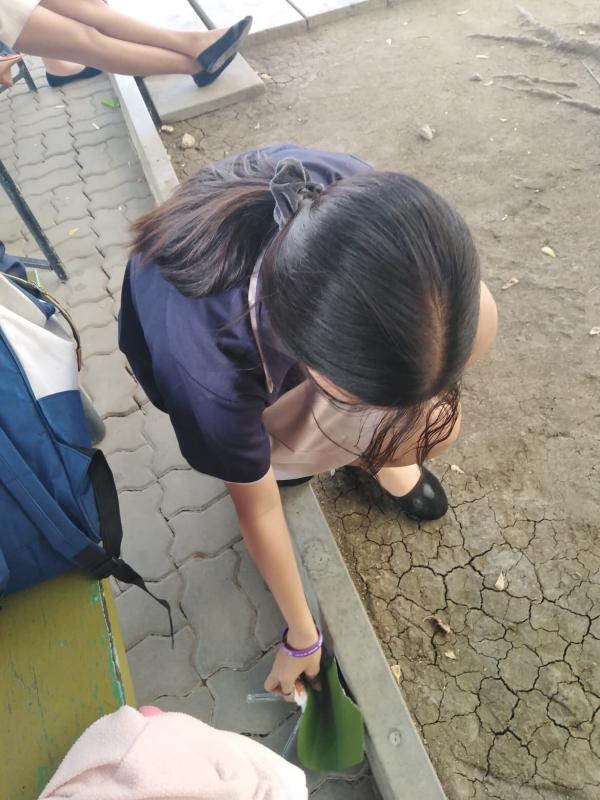 เก็บขยะ-จิตอาสา