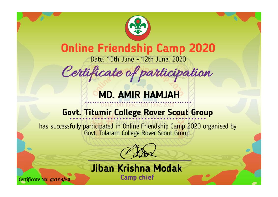Online Friendship Camp-2020