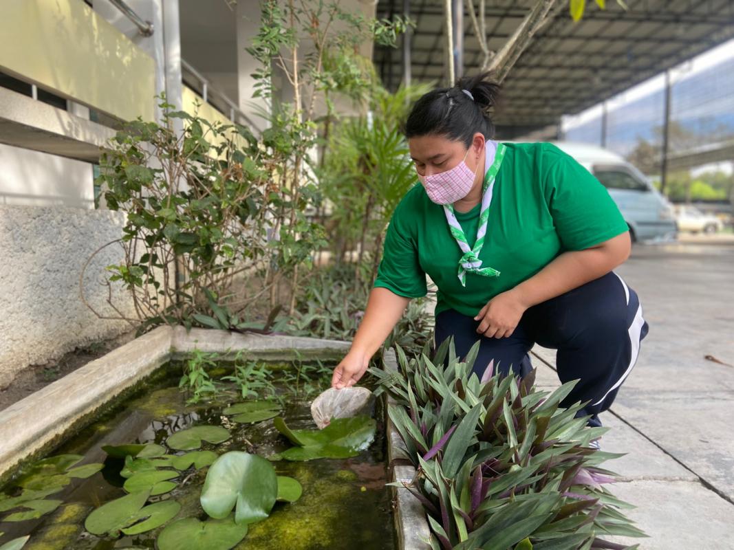 การดูแลรักษาทรัพยากรธรรมชาติและสิ่งแวดล้อม