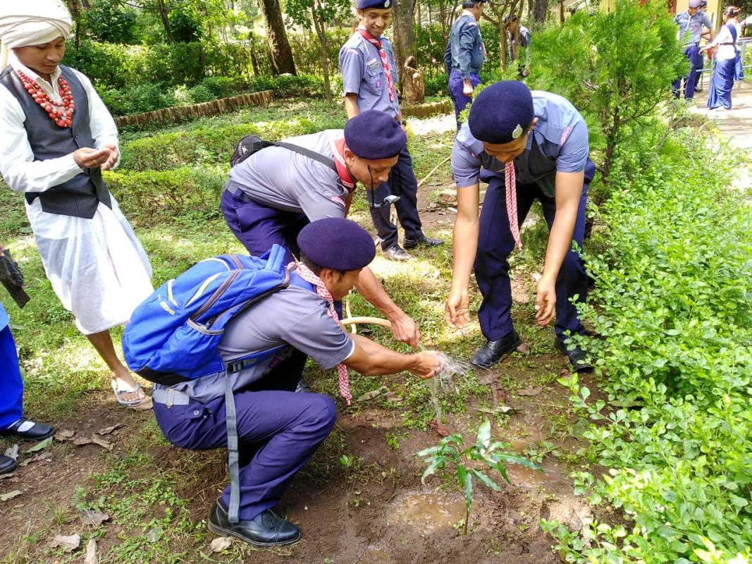 Tree Plantation 