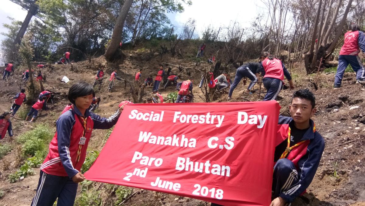 National Social Forestry Day