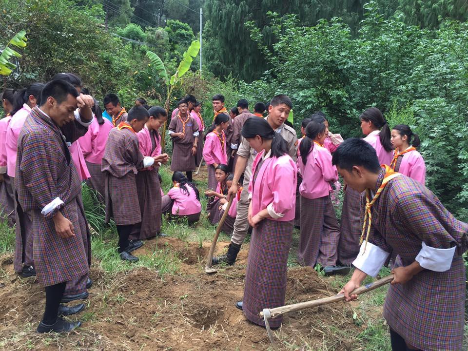 Love is Planting a Tree