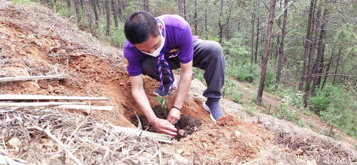 Celebration of World Environment Day