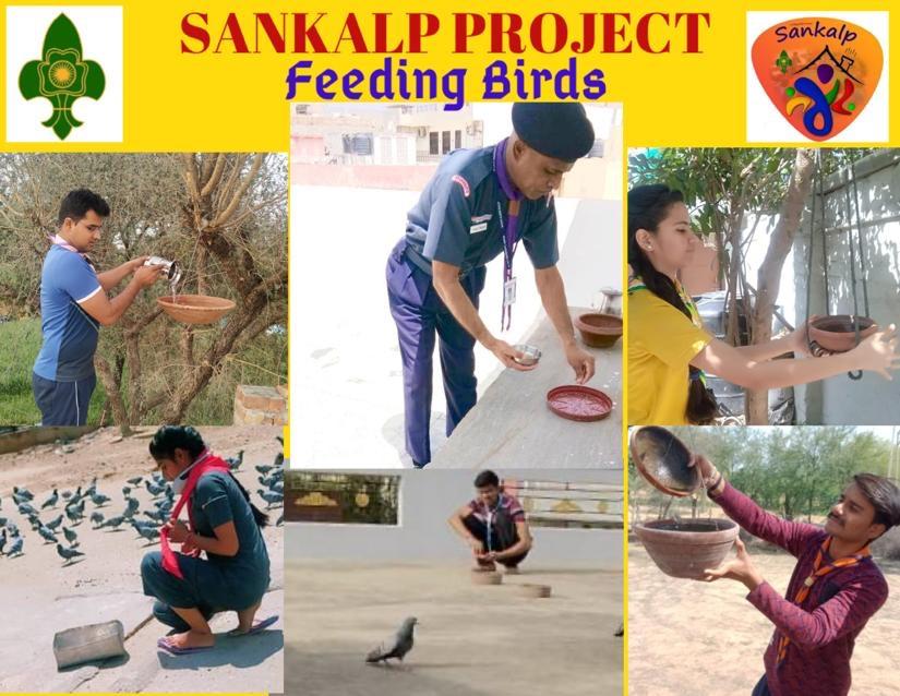 Feeding Birds(sankalp project)