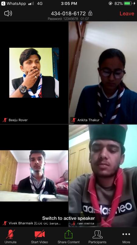 17th Virtual Meeting 