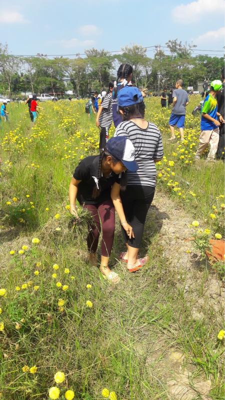 จิตอาสา เก็บขยะบริเวณสวน