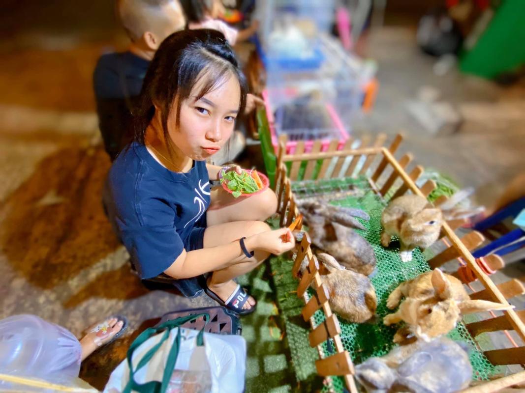 ให้อาหารกระต่าย