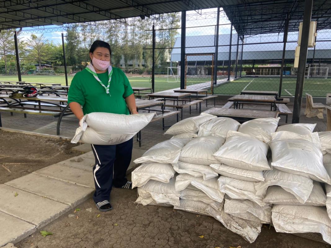 การปลูกต้นไม้บริเวณวิทยาลัยให้มีทัศนียภาพสวยงาม