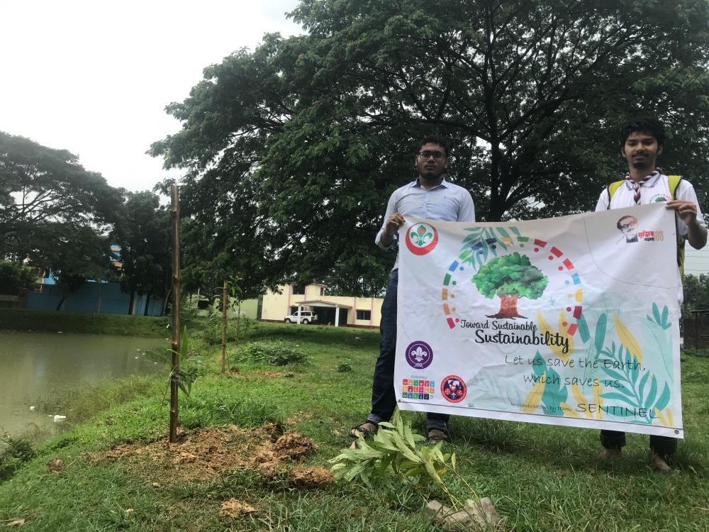 Planted Tree at Circuit House Pond, Gazipur