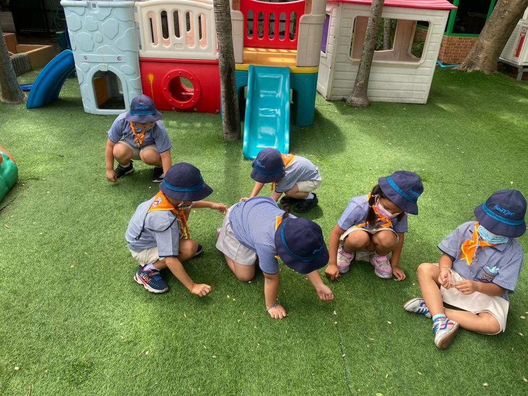 คาบเรียนลูกเสือ