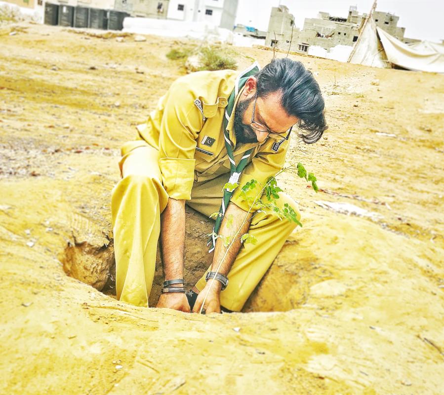 Plantation Activity 