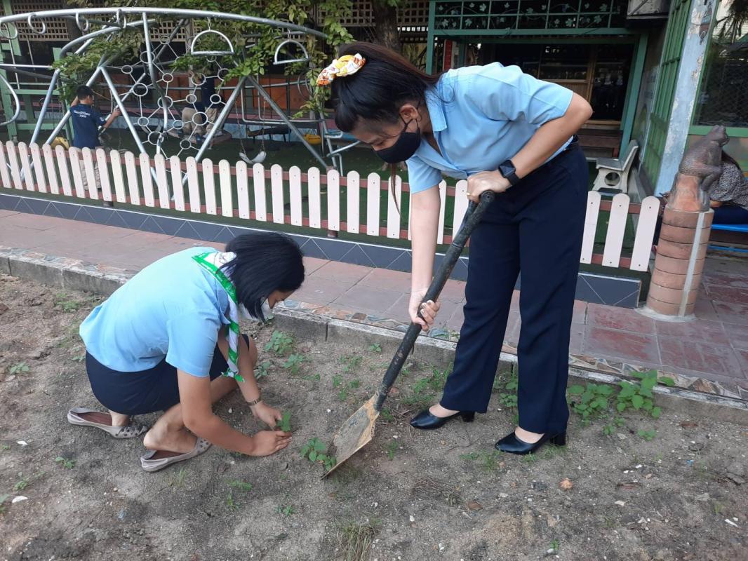 จิตอาสา ปลูกต้นไม้