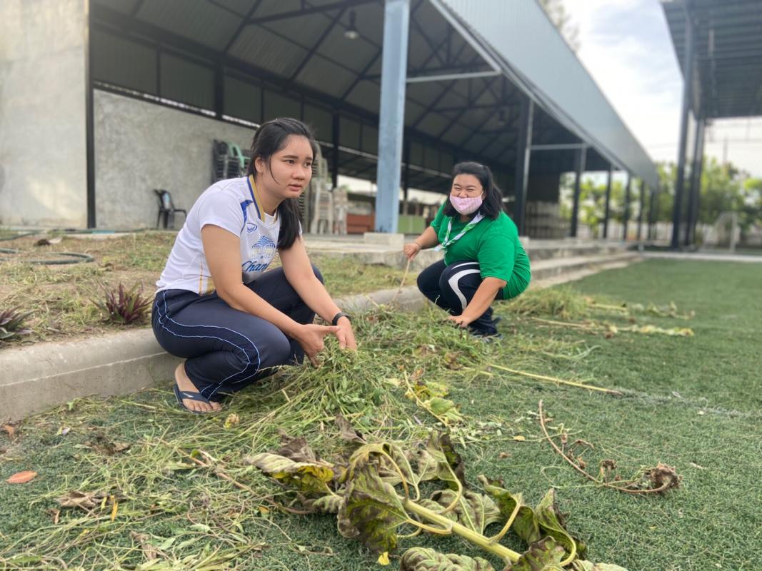 การทำความสะอาดบริเวณโร