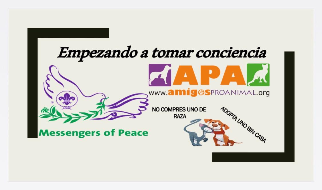 Empezando a tomar conciencia 
