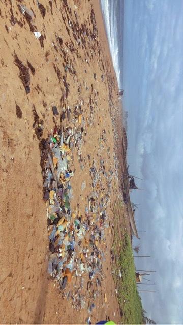 À L’OCCASION DE LA JOURNÉE MONDIALE DE L’ENVIRONNEMENT 