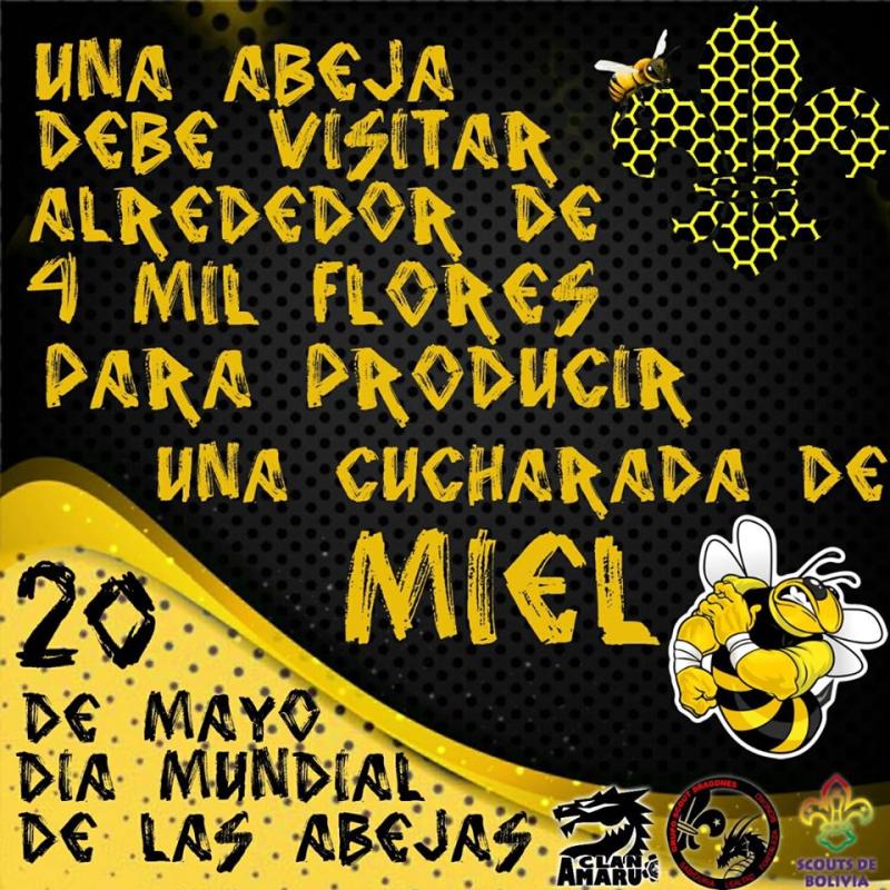 YO CUIDO LAS ABEJAS 