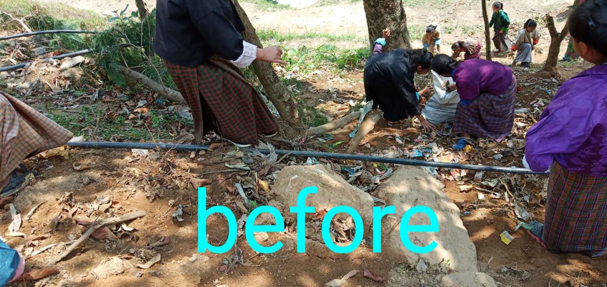 cleaning campaign