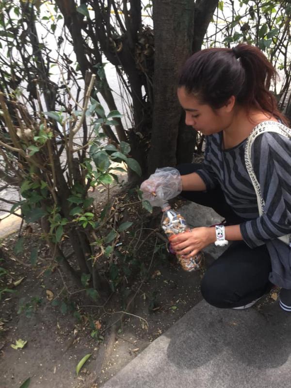 Recolección de colillas