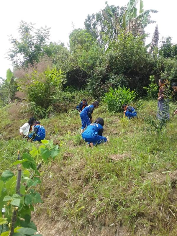 The true meaning of life is to plant tree.