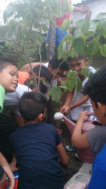 Tree Planting