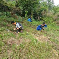 Plantation of Saplings 