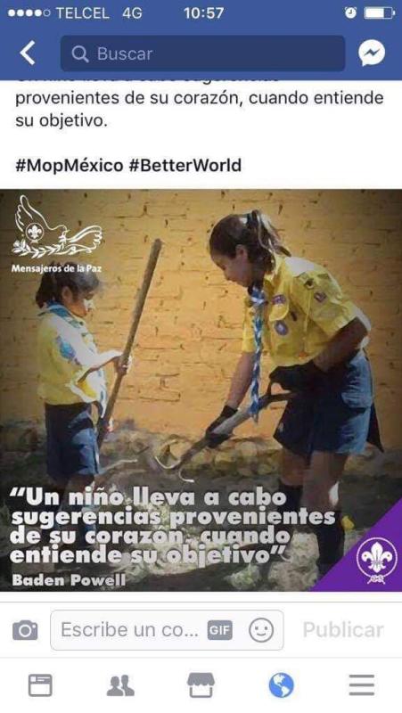 Reforestando seeonee de San Luis Potosí