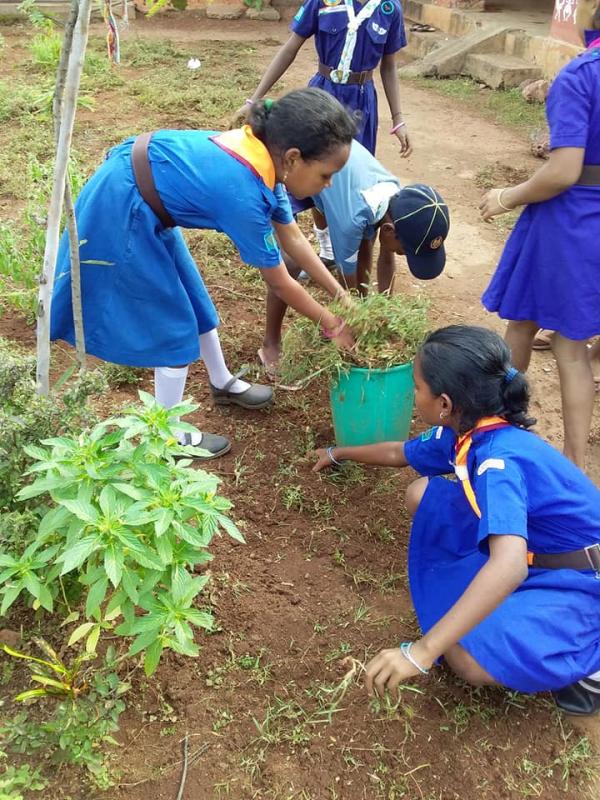 plants a tree plants a hope#4