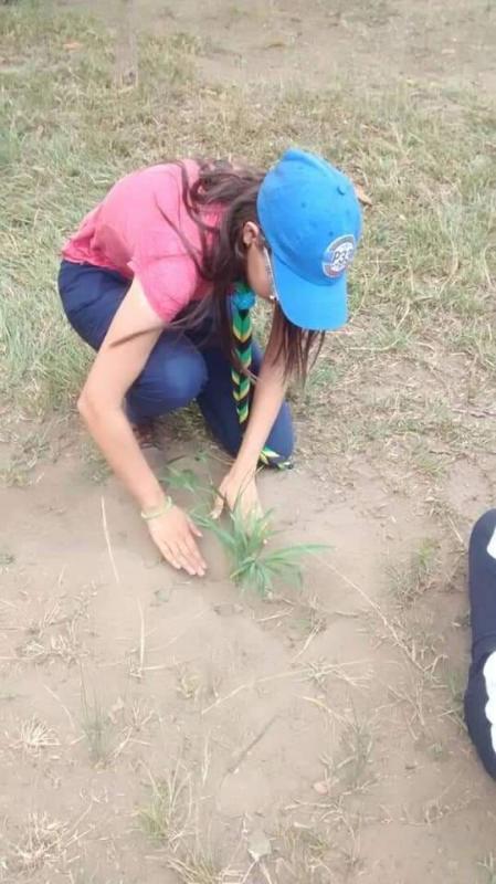 Embelleciendo nuestro estado
