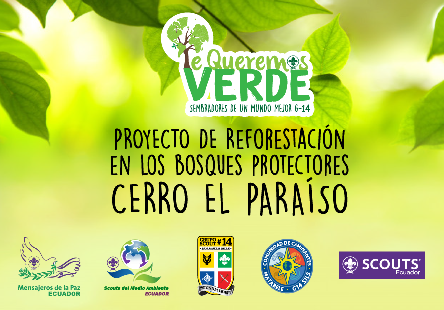 REFORESTACIÓN, PLAYATÓN, PLOGGING, EL AMOR AL MEDIO AMBIENTE