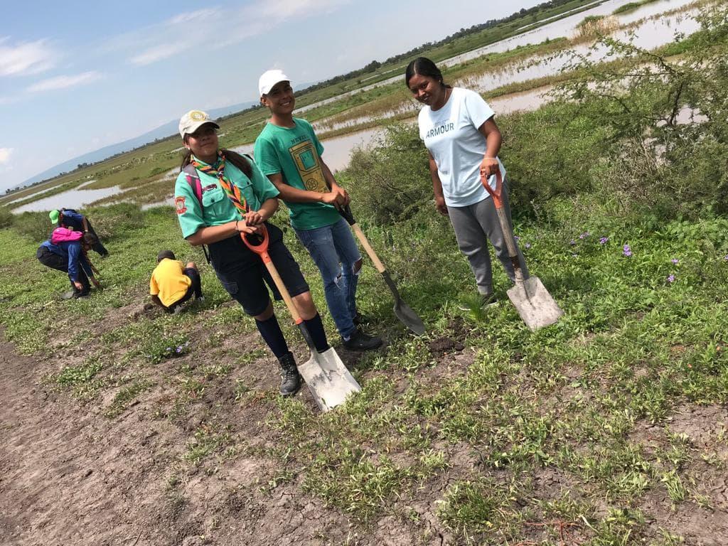 Horquilla de Servicio