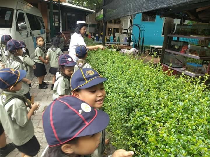 บำเพ็ญประโยชน์โรงเรียน