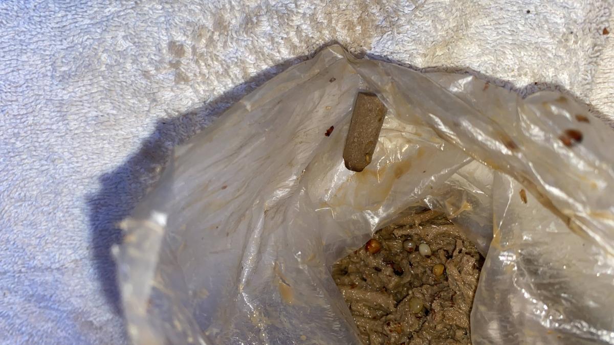 adios colillas puerto vallarta 